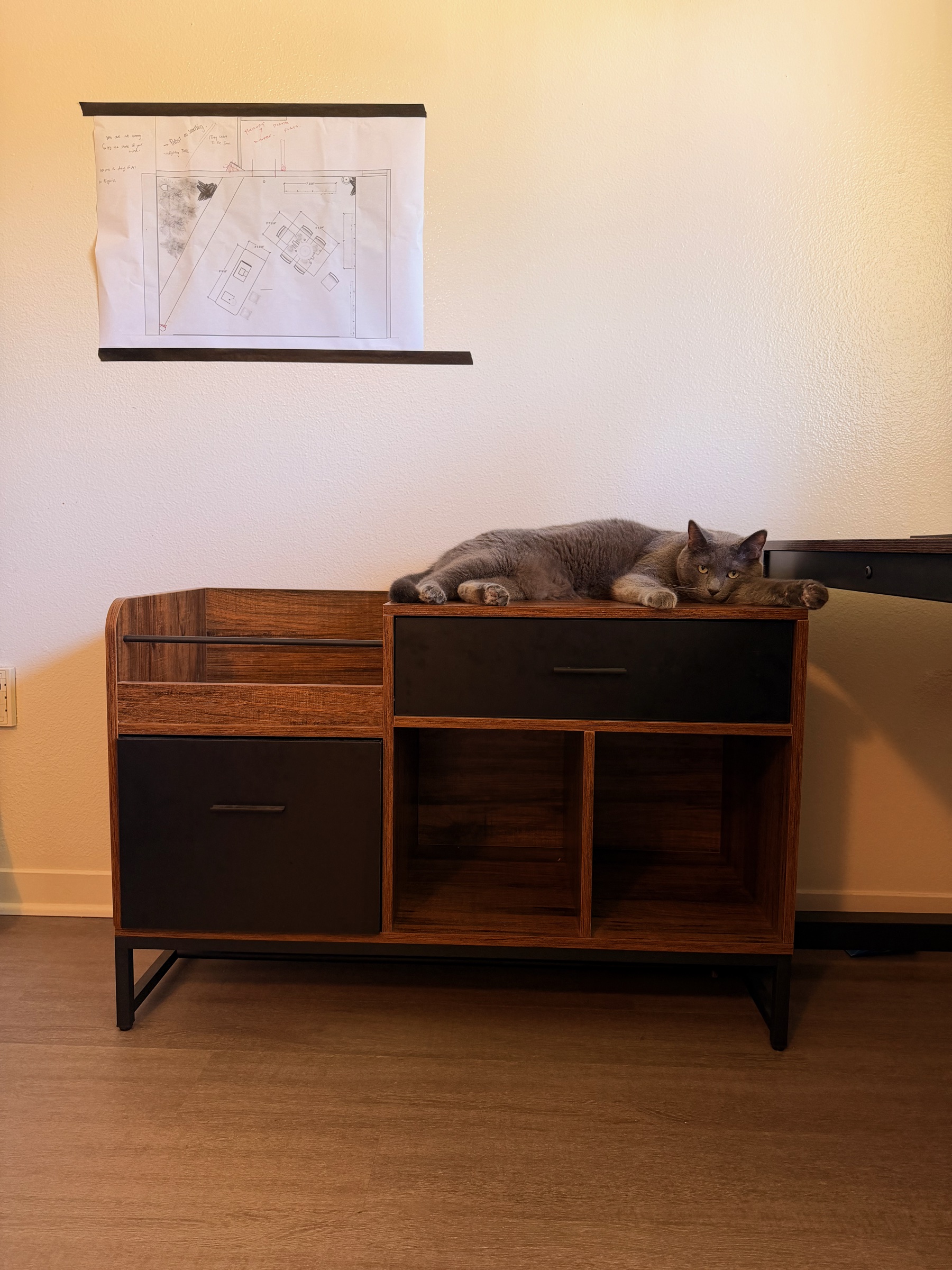 A gray cat resting in Brandon's scenic design studio